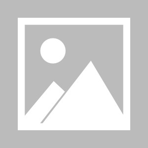 施耐德UPS电源系列管理卡及选件产品图1